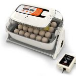 آرکام کوچک خانگی 24 تایی