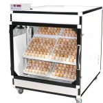 دستگاه جوجه کشی 504 تایی